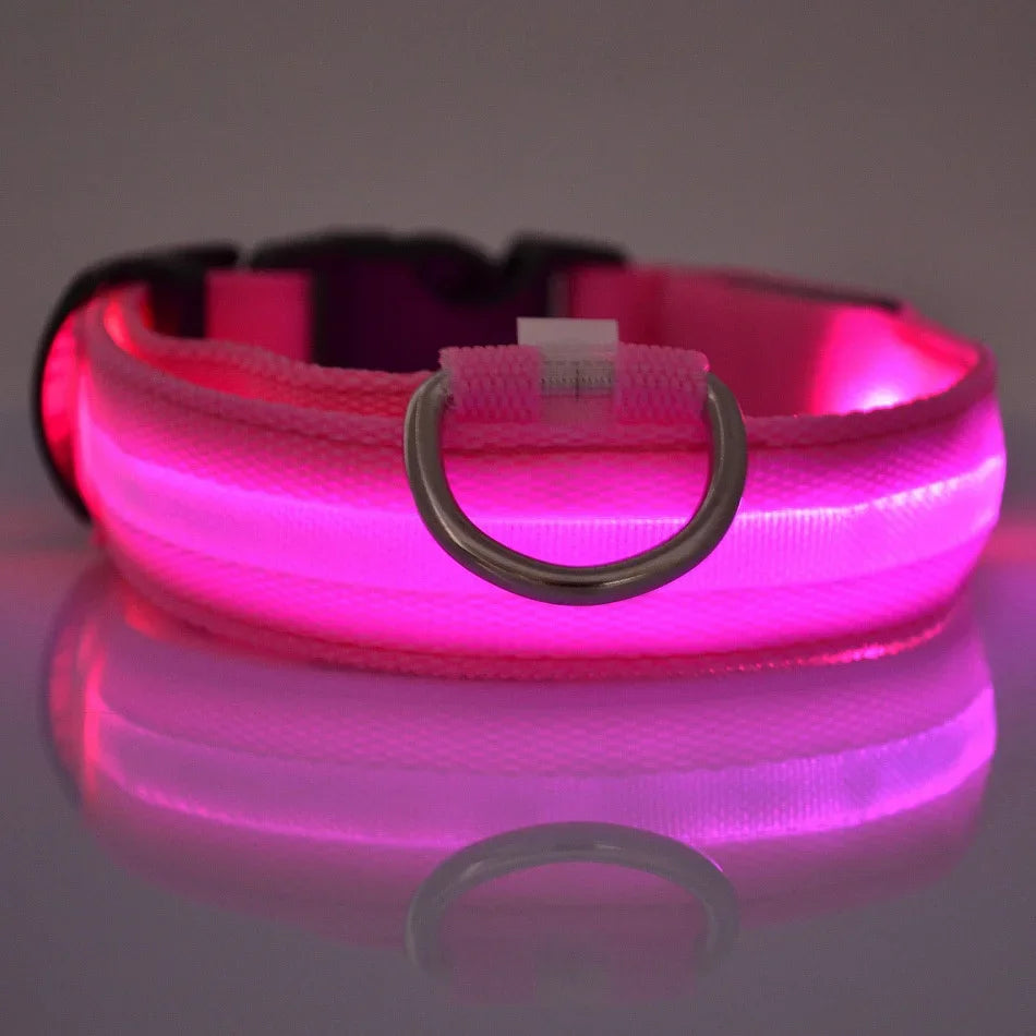 Luminous Fluorescent Pet Dog Collar