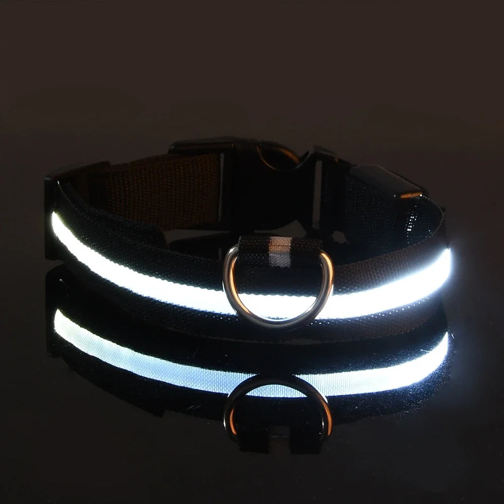 Luminous Fluorescent Pet Dog Collar