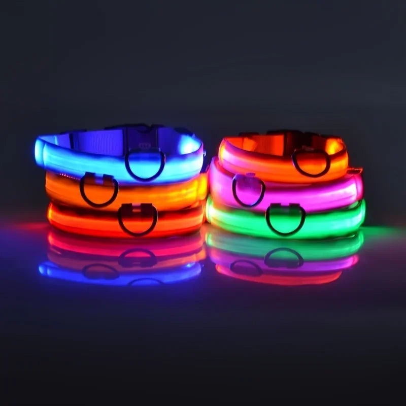 Luminous Fluorescent Pet Dog Collar