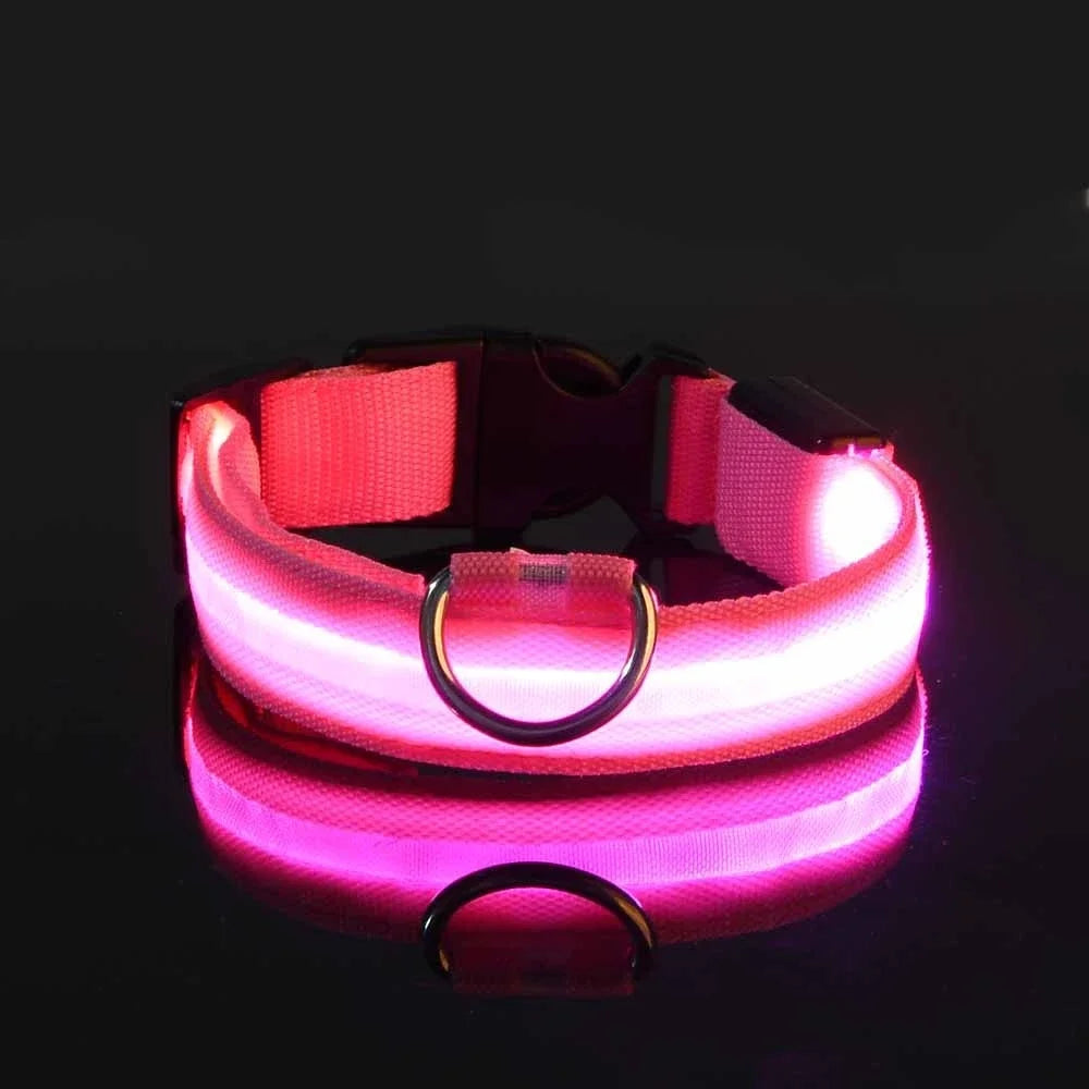 Luminous Fluorescent Pet Dog Collar