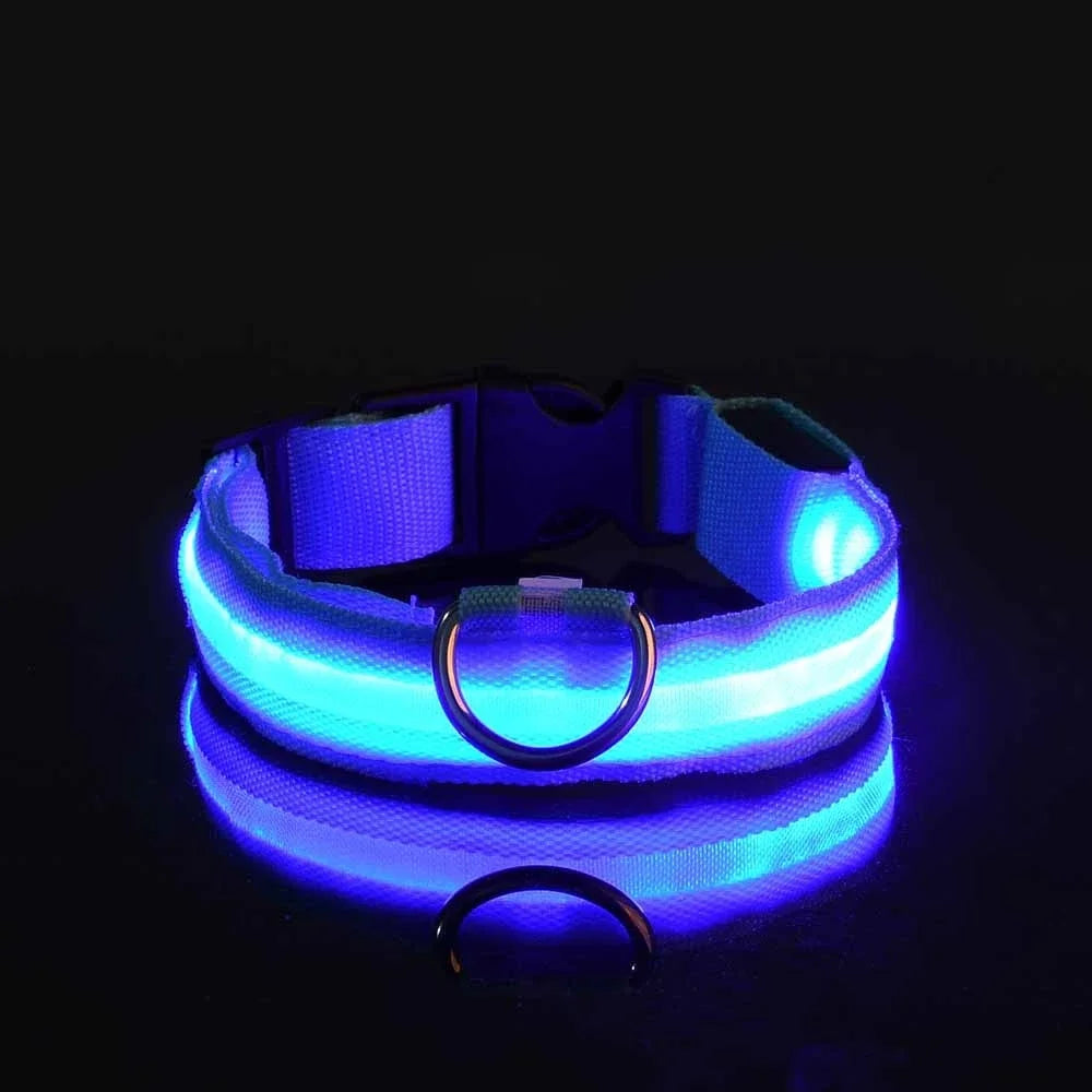 Luminous Fluorescent Pet Dog Collar