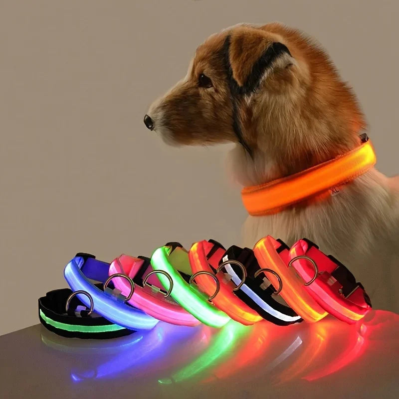 Luminous Fluorescent Pet Dog Collar