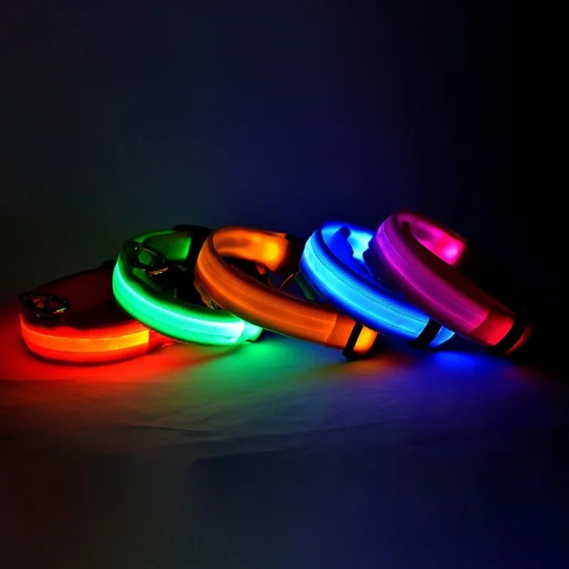 Luminous Fluorescent Pet Dog Collar