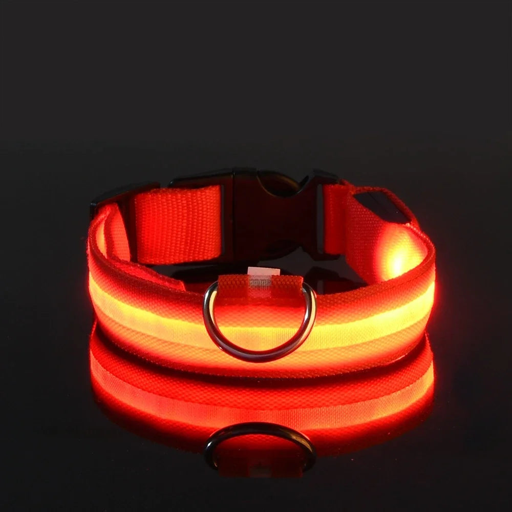 Luminous Fluorescent Pet Dog Collar