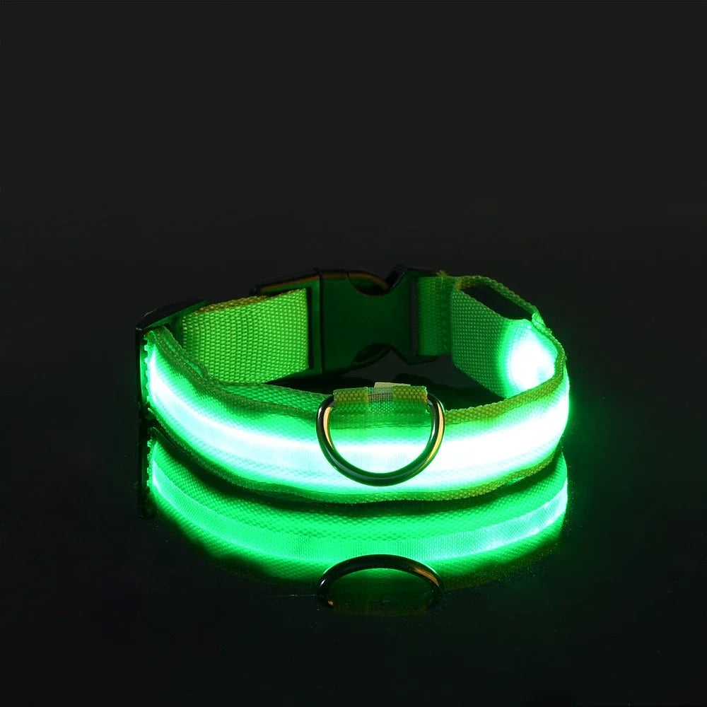 Luminous Fluorescent Pet Dog Collar